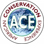 American Conservation Experience