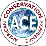 American Conservation Experience