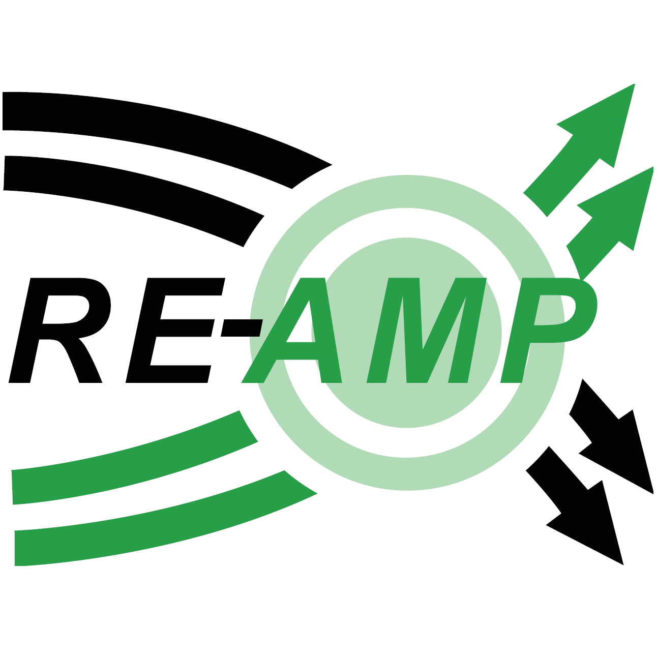 RE-AMP
