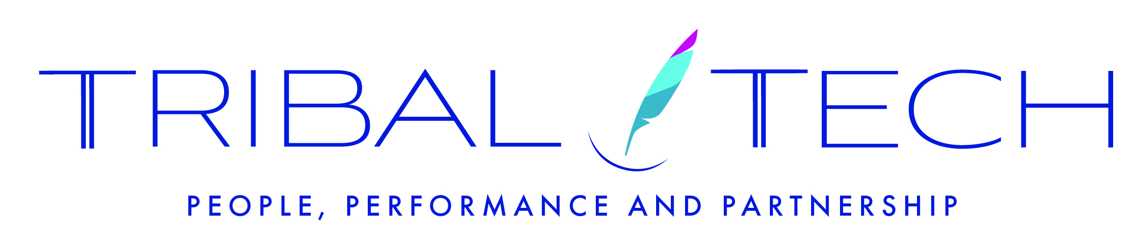 Tribal Tech LLC