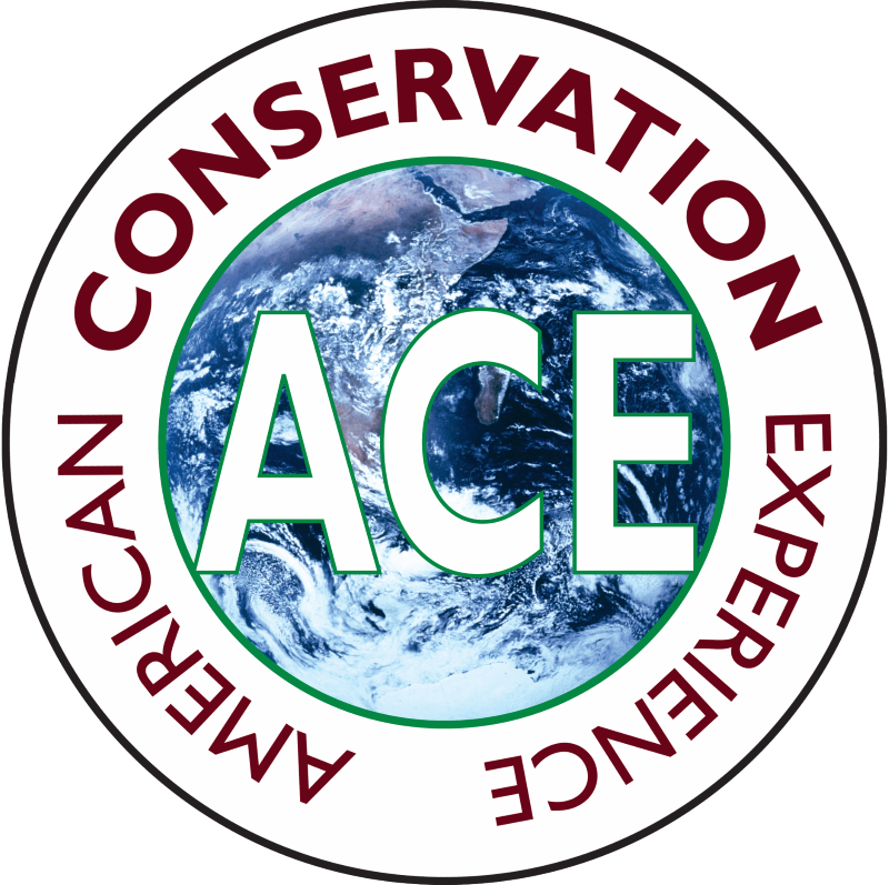 American Conservation Experience