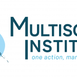 Multisolving Institute